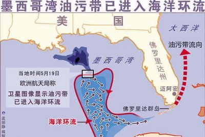 墨西哥湾油污带入侵沿海湿地-油污带-谷腾环保